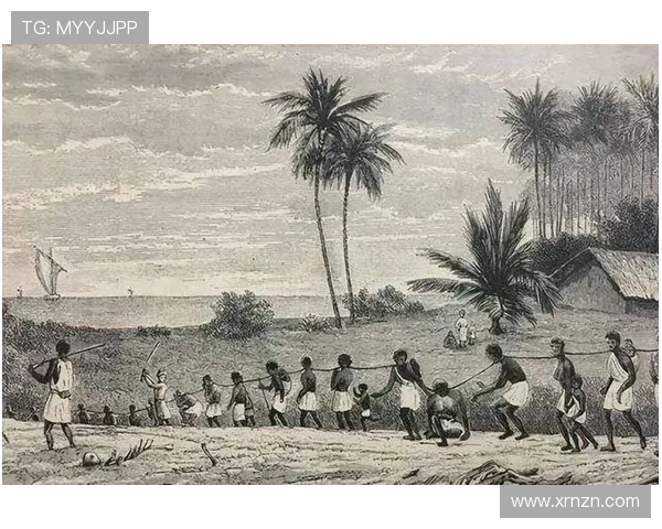 尘封的记忆,农场主三个女儿的传奇人生 尘封的记忆,农场主三个女儿的传奇人生