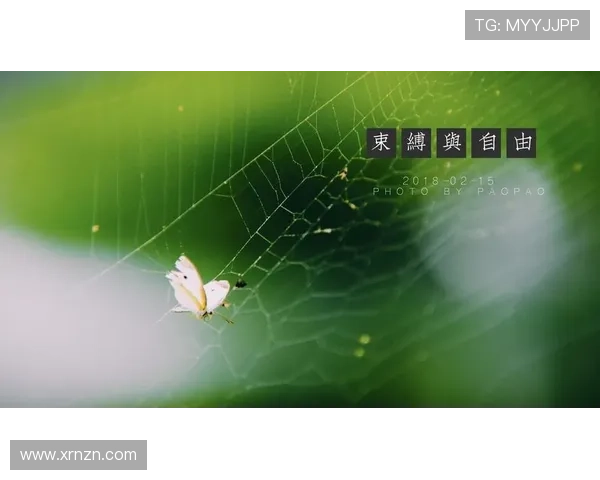 愤怒的蝴蝶：一场关于束缚与挣脱的华丽蜕变